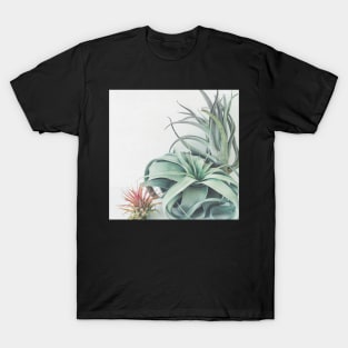 Air Plant Collection T-Shirt